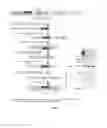 Fig. 09 - Methods for analyzing nucleic acids from single cells