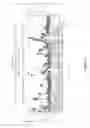 Fig. 35 - BIOMOLECULAR PROBES AND METHODS OF DETECTING GENE AND PROTEIN EXPRESSION