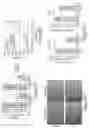 Fig. 14 - LONG INTERGENIC NON-CODING RNA AS PANCANCER BIOMARKER