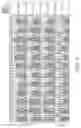 Fig. 23 - LONG INTERGENIC NON-CODING RNA AS PANCANCER BIOMARKER
