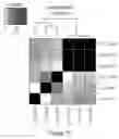Fig. 32 - LONG INTERGENIC NON-CODING RNA AS PANCANCER BIOMARKER
