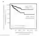 Fig. 01 - METHOD FOR ASSESSING A PROGNOSIS AND PREDICTING THE RESPONSE OF PATIENTS WITH MALIGNANT DISEASES TO IMMUNOTHERAPY