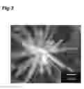 Fig. 04 - Nanocrystal production method, and steel production method