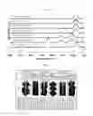 Fig. 03 - METHOD FOR MANUFACTURING SILICON NITRIDE THIN FILM USING PLASMA ATOMIC LAYER DEPOSITION