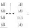 Fig. 02 - Methods and kits for detecting contamination and sample misidentification
