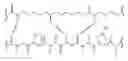 Fig. 01 - Blend composition of peptide and nylon and manufacturing method thereof