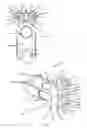 Fig. 06 - SLIDE RAIL MECHANISM