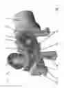 Fig. 02 - Horizontally split screw-spindle pump