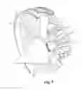 Fig. 02 - Fan for a turbomachine