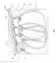 Fig. 02 - Power tool cable mount