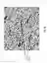 Fig. 35 - Methods of determining performance information for individuals and sports objects