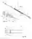 Fig. 03 - Lanyard with stress indicator