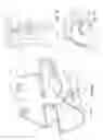 Fig. 02 - Methods, apparatuses and systems for collection of tissue sections