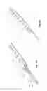 Fig. 03 - Methods, apparatuses and systems for collection of tissue sections