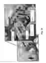 Fig. 32 - Methods, apparatuses and systems for collection of tissue sections