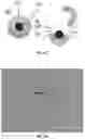 Fig. 06 - Compositions and methods for laser capture microdissection