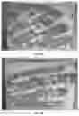 Fig. 09 - Compositions and methods for laser capture microdissection
