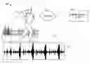 Fig. 01 - Cadence-based selection, playback, and transition between song versions