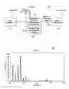 Fig. 02 - Self-adjusting fundamental frequency accentuation subsystem for natural ear device