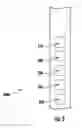 Fig. 03 - UNIVERSAL SILL MOUNTABLE DEVICE