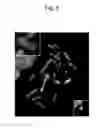 Fig. 09 - Human antibody-producing non-human animal and method for preparing human antibodies using same