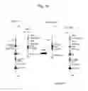 Fig. 35 - Human antibody-producing non-human animal and method for preparing human antibodies using same