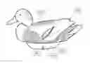 Fig. 01 - Resilient polymer hunting decoy