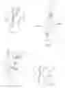 Fig. 02 - PLACKET TRUSS AND GARMENT INCORPORATING THE SAME