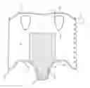 Fig. 01 - Garment with absorbent pad