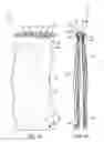 Fig. 02 - Hair Extension Assemblies and Methods