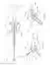 Fig. 02 - BIOPSY FORCEPS WITH CAM MECHANISM