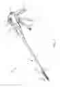 Fig. 02 - Three dimensional adjuncts