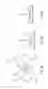 Fig. 09 - Three dimensional adjuncts