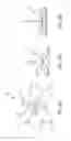 Fig. 09 - Three dimensional adjuncts