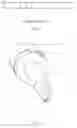 Fig. 02 - TOOL BIT FOR AN ULTRASONIC OSTEOTOME