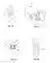 Fig. 05 - Dental models and related methods