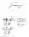Fig. 13 - METHOD FOR MODIFYING THE REFRACTIVE INDEX OF OCULAR TISSUES