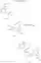 Fig. 32 - Combination comprising EP4 antagonist and immune checkpoint inhibitor