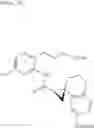 Fig. 52 - Combination comprising EP4 antagonist and immune checkpoint inhibitor