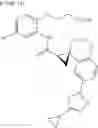 Fig. 75 - Combination comprising EP4 antagonist and immune checkpoint inhibitor