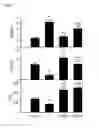 Fig. 07 - Compositions and methods for treating and preventing venom related poisoning