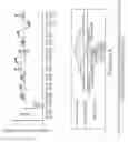 Fig. 17 - METHODS AND COMPOSITIONS FOR MODULATING GENE EXPRESSION