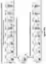 Fig. 167 - Chimeric antigen receptor (CAR) targeting multiple antigens, compositions and methods of use thereof