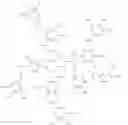 Fig. 12 - Topical formulation and uses thereof
