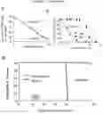 Fig. 07 - USES OF HYPOXIA-INDUCIBLE FACTOR INHIBITORS