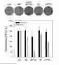 Fig. 07 - Pharmaceutical composition comprising nanoperforator for preventing or treating viral infectious diseases