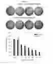 Fig. 09 - Pharmaceutical composition comprising nanoperforator for preventing or treating viral infectious diseases