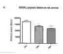Fig. 01 - Methods for treating sarcopenia and muscle injury