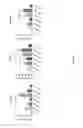 Fig. 08 - Methods for treating sarcopenia and muscle injury