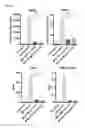 Fig. 03 - Mesenchymal stem cells expressing anti-inflammatory cytokines and methods of use